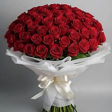Букет 101 Красная роза Блэк Мэджик в Троицкий