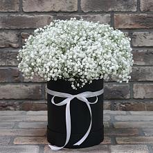 Цветочная композиция из Гипсофила в шляпной коробке в Троицкий