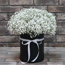 Цветочная композиция из Гипсофила в шляпной коробке в Троицкий