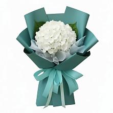 Букет цветов из:  Гортензия в Троицкий